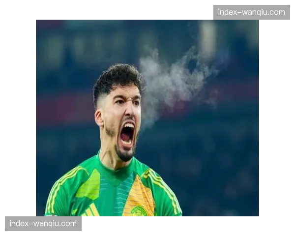 曼联门将阿勒泰·巴因迪尔接近加盟贝西克塔斯